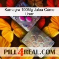 Kamagra 100Mg Jalea Cómo Usar 38